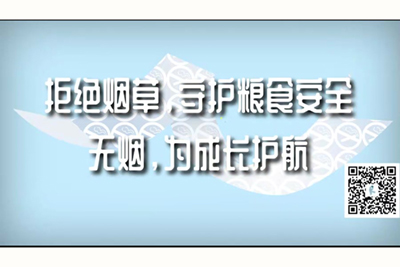 啊啊啊大鸡吧在线播放拒绝烟草，守护粮食安全